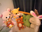 みんなそろうと20080830.jpg